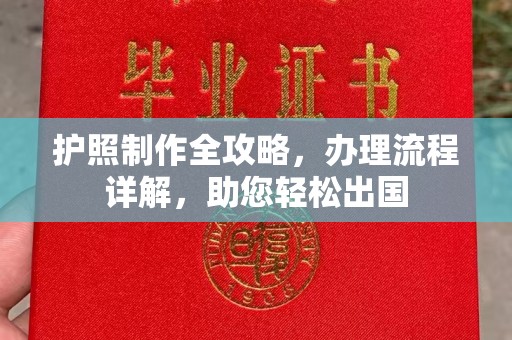 久治护照制作全攻略，办理流程详解，助您轻松出国